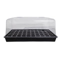 Trays and Domes