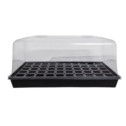 Trays and Domes