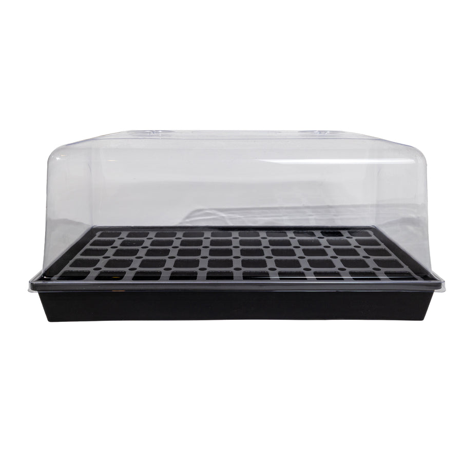 Trays and Domes