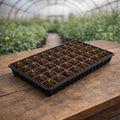 Trays and Domes
