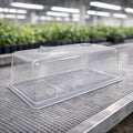Trays and Domes